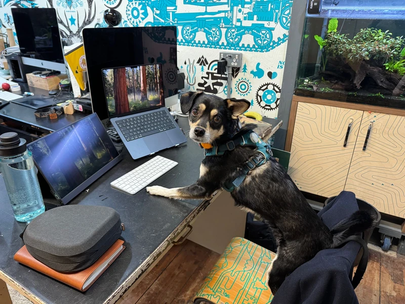 Gunner at work image